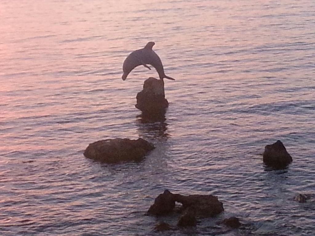 B&B Antica Botte Sassari Dış mekan fotoğraf