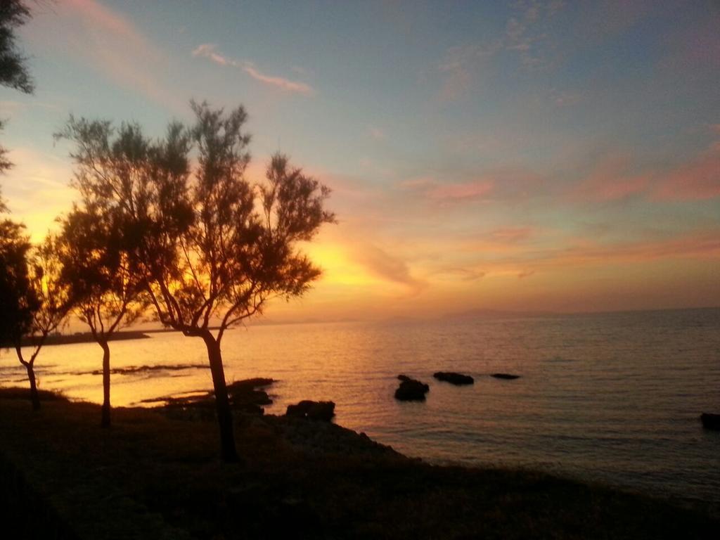 B&B Antica Botte Sassari Dış mekan fotoğraf
