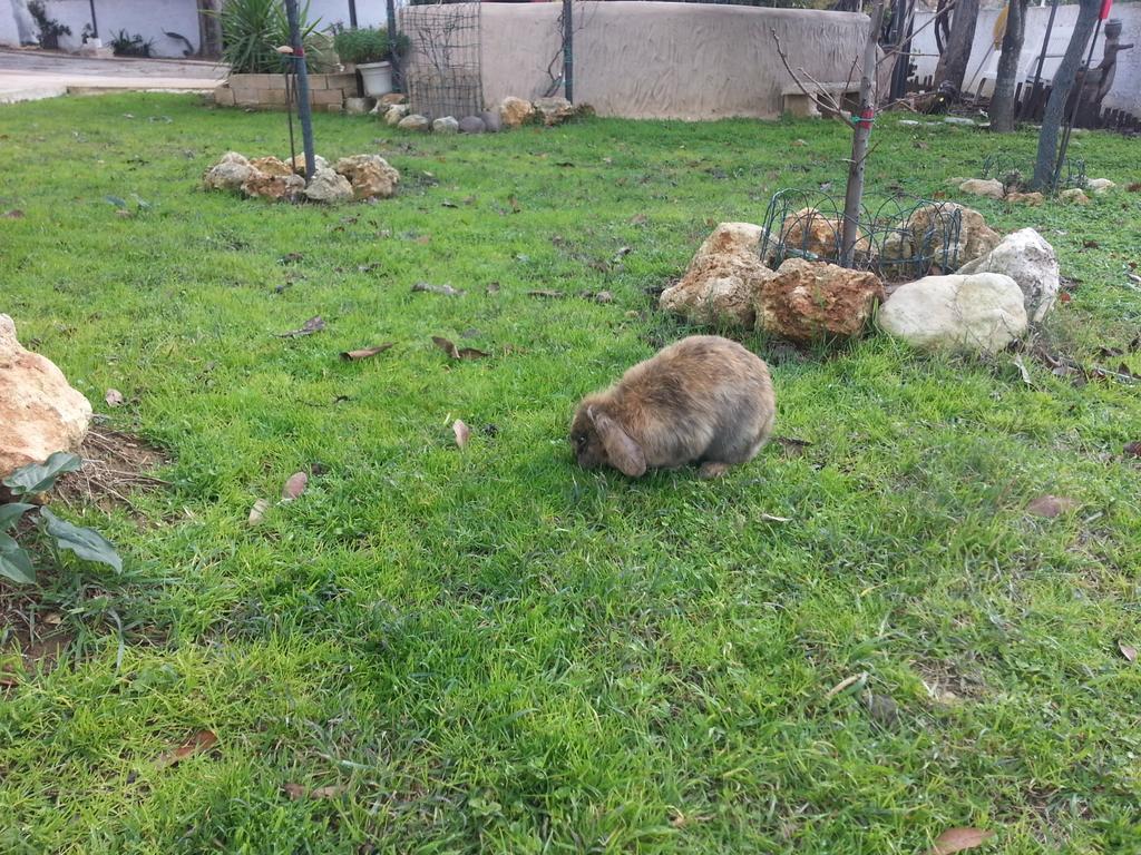B&B Antica Botte Sassari Dış mekan fotoğraf