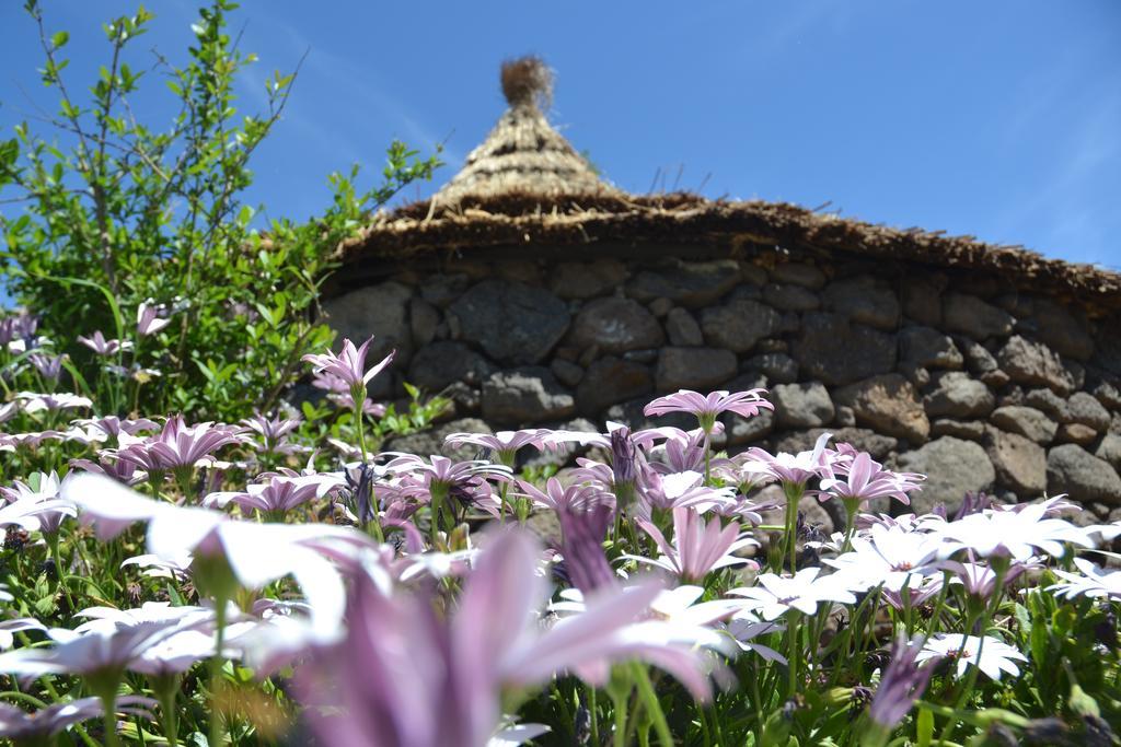 B&B Antica Botte Sassari Dış mekan fotoğraf